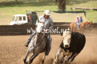 CabanandraCampdraft2013_1D_0918