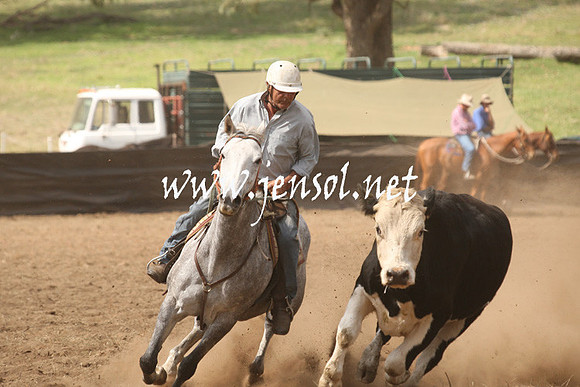 CabanandraCampdraft2013_1D_0918