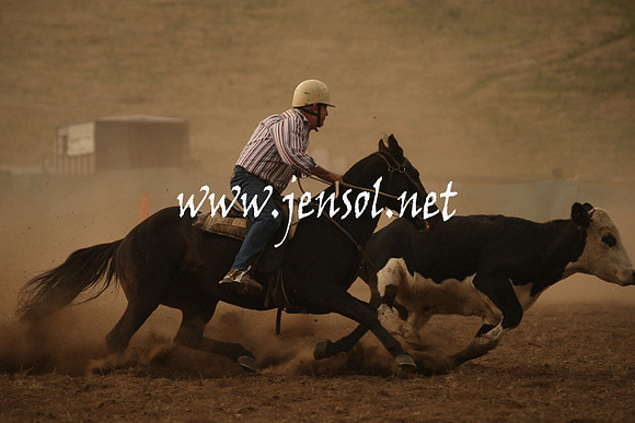 CabanandraCampdraft2013_1D_1044