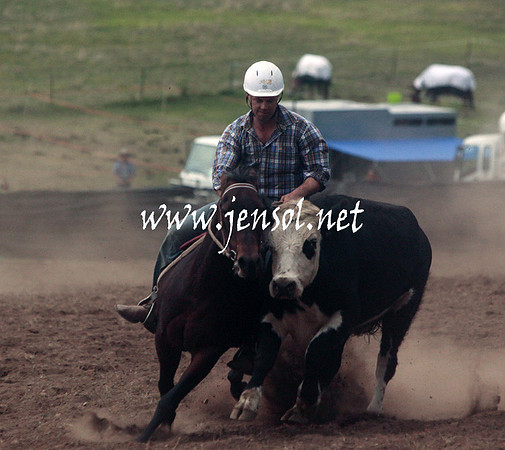 CabanandraCampdraft2013_5D_0142