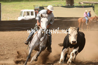 CabanandraCampdraft2013_1D_0923