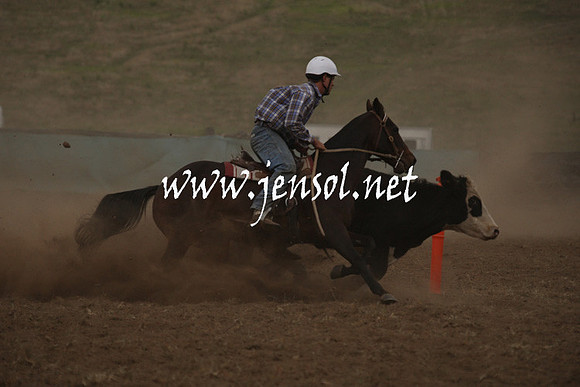 CabanandraCampdraft2013_1D_1000