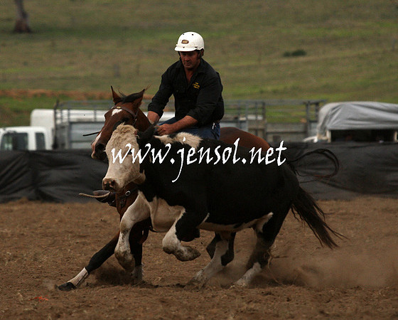 CabanandraCampdraft2013_1D_0982