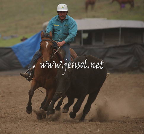 CabanandraCampdraft2013_1D_0952