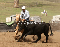 CabanandraCampdraft2013_1D_0926