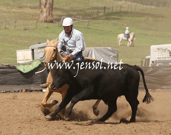 CabanandraCampdraft2013_1D_0926