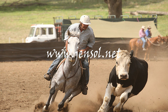 CabanandraCampdraft2013_1D_0924