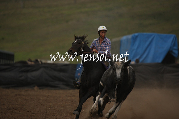CabanandraCampdraft2013_1D_0974