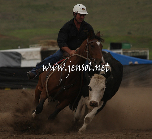 CabanandraCampdraft2013_1D_0987