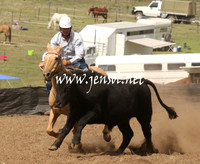 CabanandraCampdraft2013_1D_0927