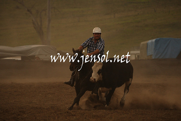 CabanandraCampdraft2013_1D_1011