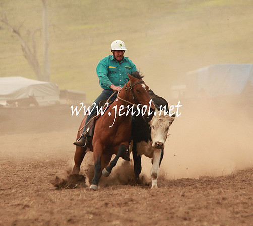 CabanandraCampdraft2013_5D_0050