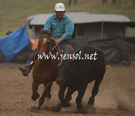 CabanandraCampdraft2013_1D_0951
