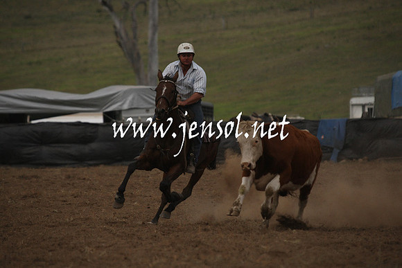 CabanandraCampdraft2013_1D_0977