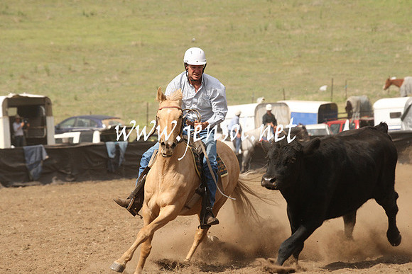 CabanandraCampdraft2013_1D_0934