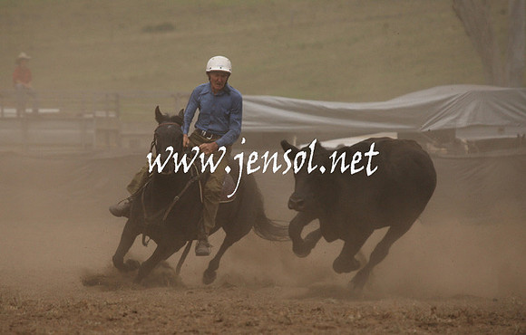 CabanandraCampdraft2013_1D_0967
