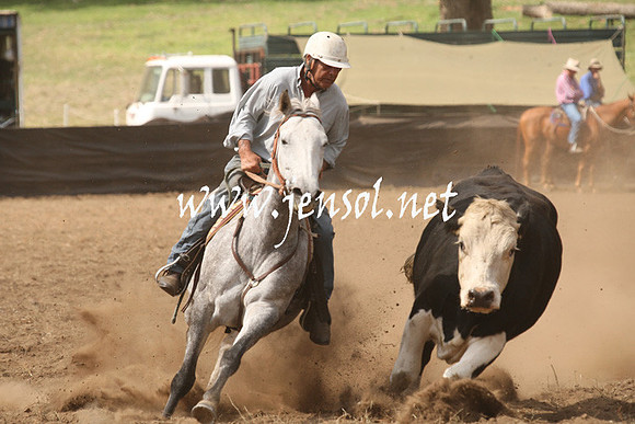 CabanandraCampdraft2013_1D_0922