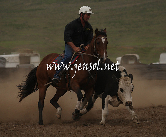 CabanandraCampdraft2013_1D_0986
