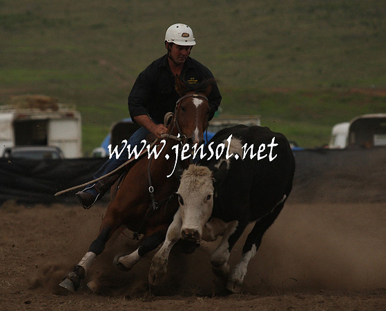 CabanandraCampdraft2013_1D_0984