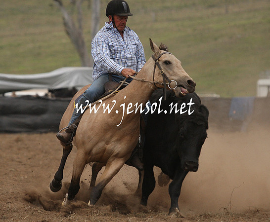 CabanandraCampdraft2013_1D_0940