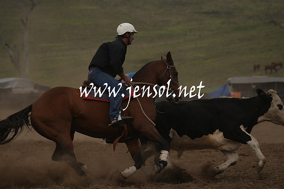CabanandraCampdraft2013_1D_0989