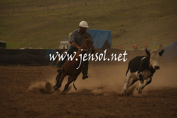 CabanandraCampdraft2013_1D_1023
