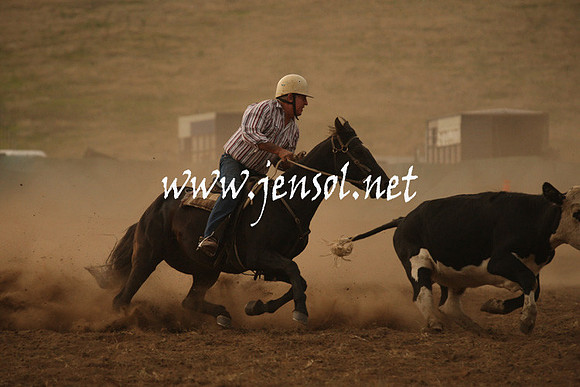 CabanandraCampdraft2013_1D_1041