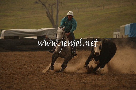 CabanandraCampdraft2013_1D_1059