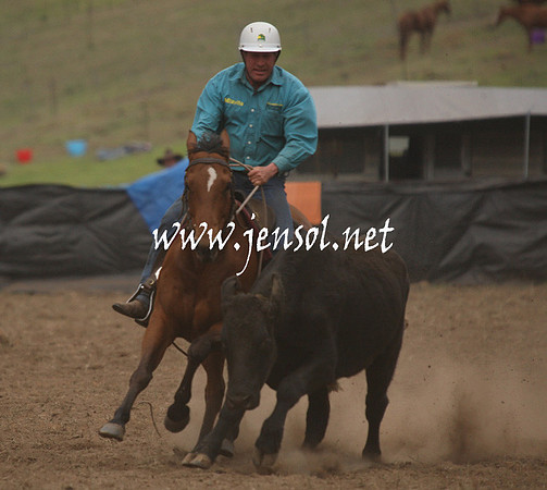 CabanandraCampdraft2013_1D_0956