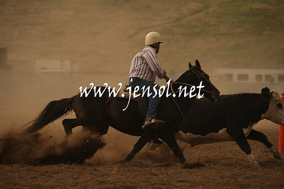 CabanandraCampdraft2013_1D_1047