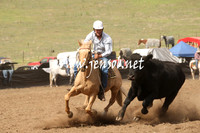 CabanandraCampdraft2013_1D_0932
