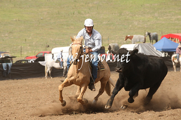 CabanandraCampdraft2013_1D_0932
