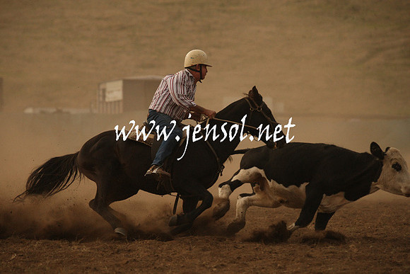 CabanandraCampdraft2013_1D_1045