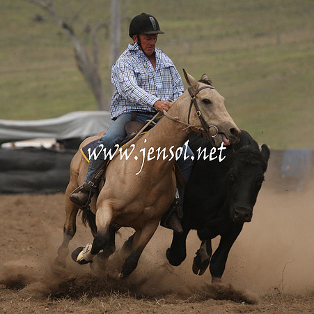 CabanandraCampdraft2013_1D_0945