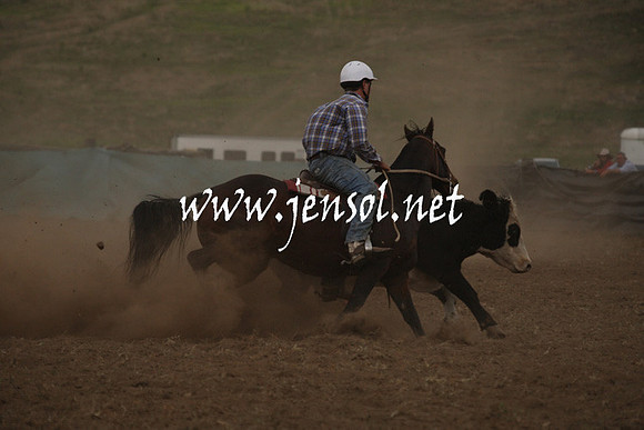 CabanandraCampdraft2013_1D_0999