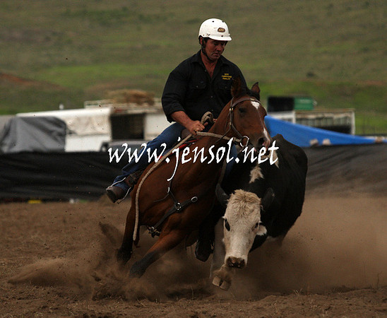 CabanandraCampdraft2013_1D_0988