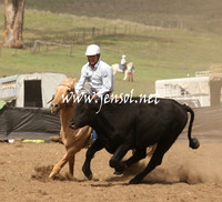 CabanandraCampdraft2013_1D_0925
