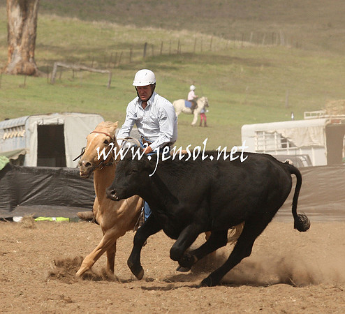 CabanandraCampdraft2013_1D_0925