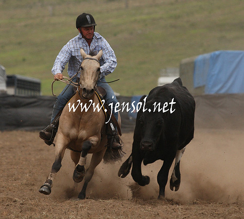 CabanandraCampdraft2013_1D_0938