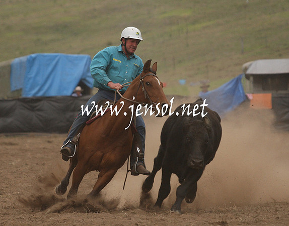 CabanandraCampdraft2013_1D_0954