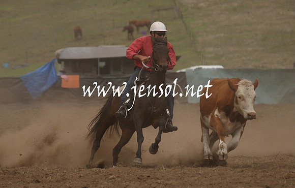 CabanandraCampdraft2013_1D_0973