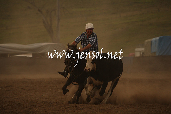 CabanandraCampdraft2013_1D_1015
