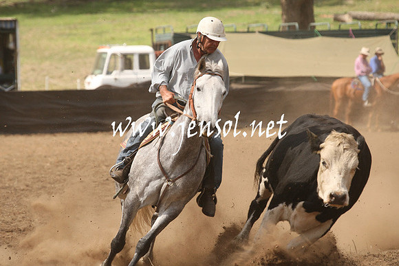 CabanandraCampdraft2013_1D_0921