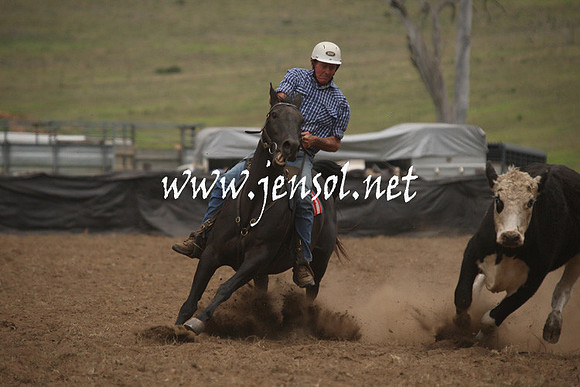 CabanandraCampdraft2013_1D_0961