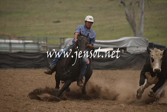 CabanandraCampdraft2013_1D_0962