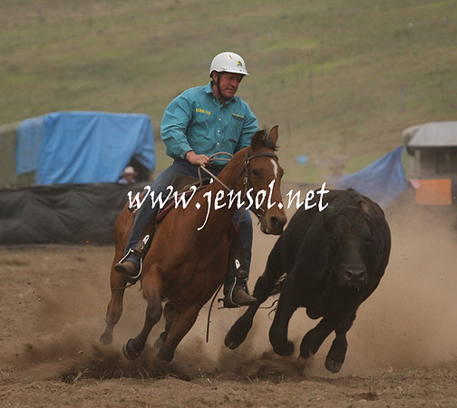 CabanandraCampdraft2013_1D_0955