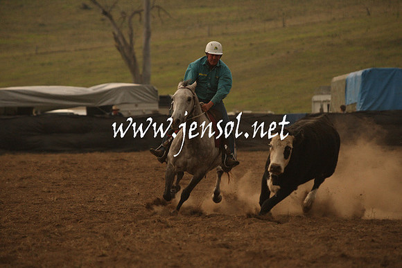 CabanandraCampdraft2013_1D_1055