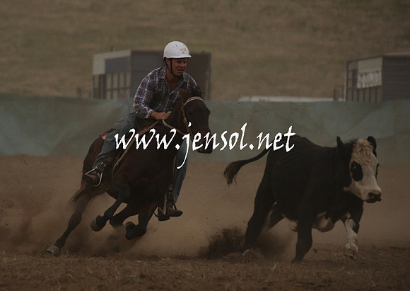 CabanandraCampdraft2013_1D_0998