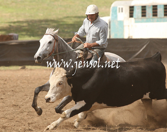 CabanandraCampdraft2013_1D_0920
