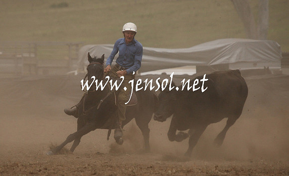 CabanandraCampdraft2013_1D_0966